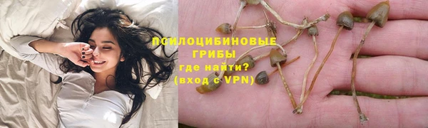 шишки Бугульма