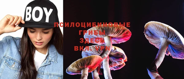 шишки Бугульма