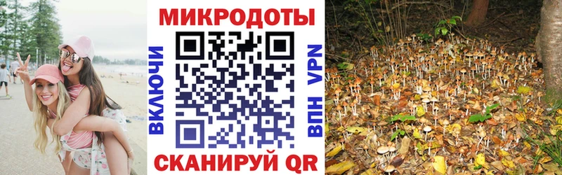 Псилоцибиновые грибы GOLDEN TEACHER Купить закладки Дзержинский